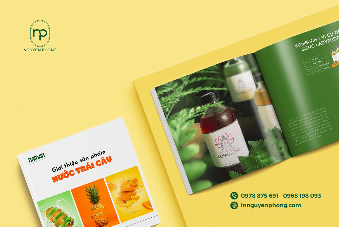Catalogue sản phẩm nước trái cây